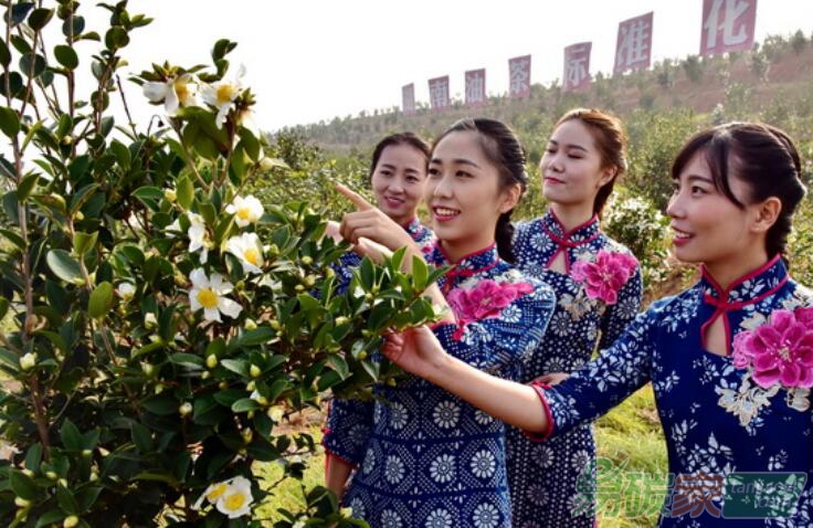 国家林草局：鼓励商业性金融机构发展林权抵押等多项贷款